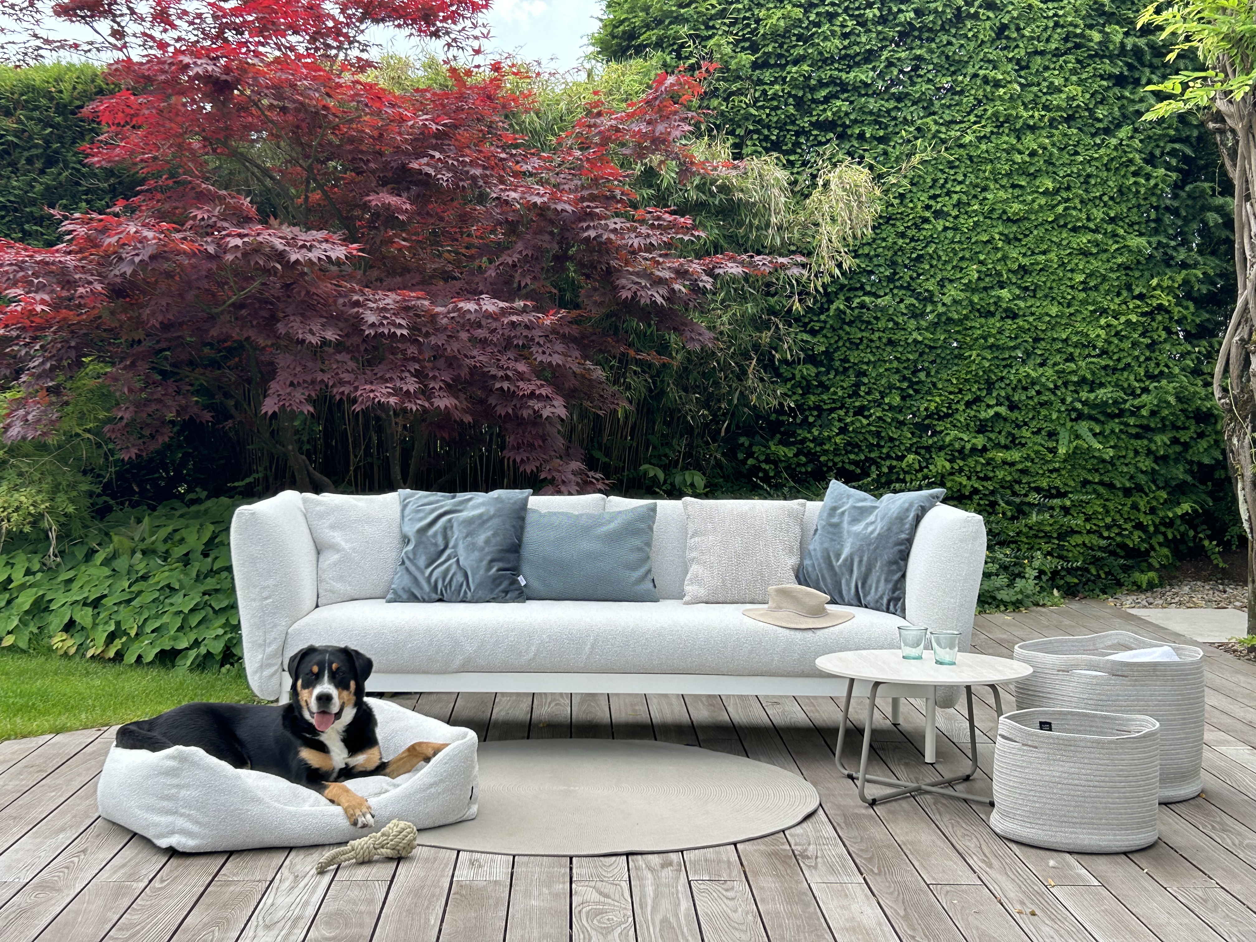 Hundebett von Fischer Möbel